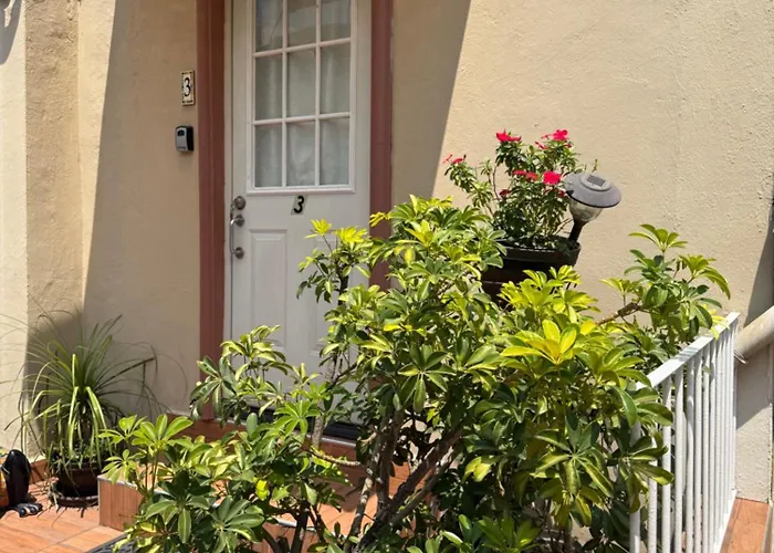 Roma Sur 222 México DF
